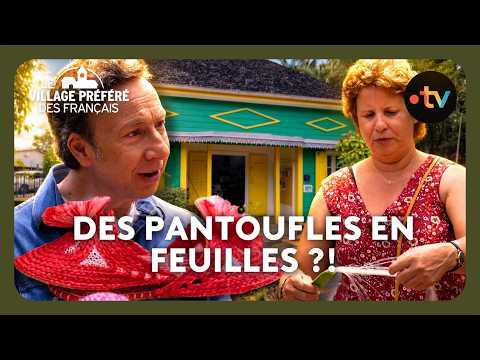 Aperçu du reportage France TV